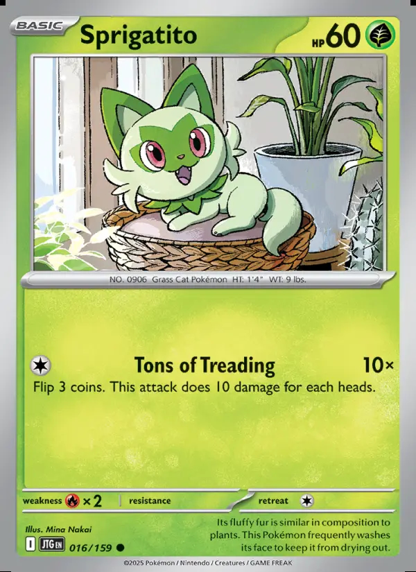 Image of the card Sprigatito