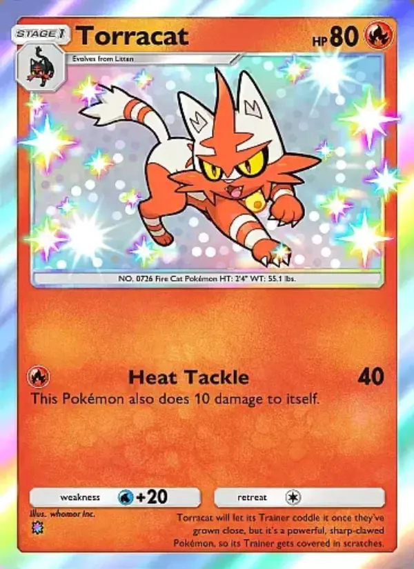 Image of the card Torracat